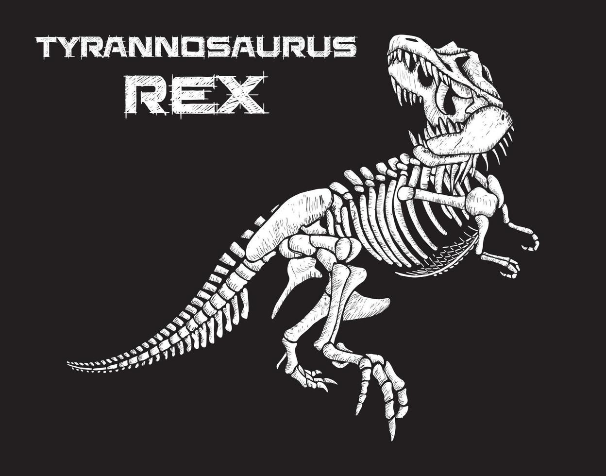 tiranosaurio rex esqueleto dibujado a mano ilustración vectorial sobre fondo negro vector