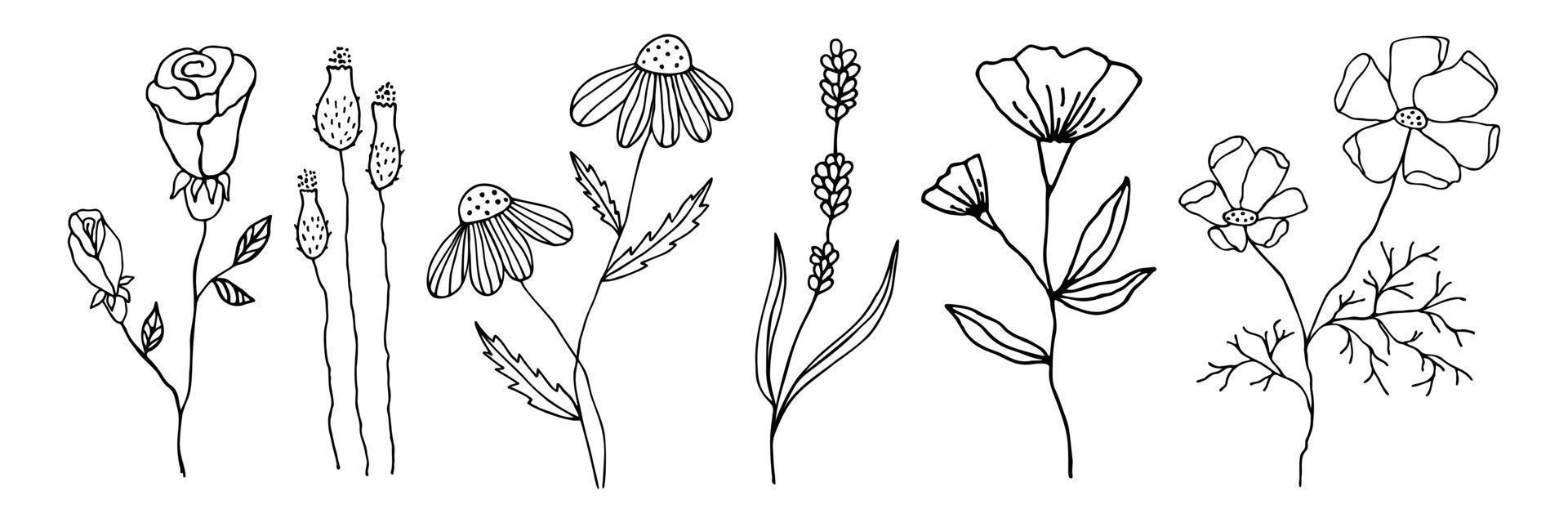 colección de flores de garabato en un estilo lineal. conjunto de elementos florales para cualquier diseño. flores de contorno negro vectorial dibujadas a mano aisladas sobre fondo blanco. vector