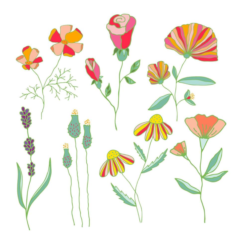 conjunto vectorial de flores dibujadas a mano de colores florecientes. colección de lindas flores aisladas sobre fondo blanco. vector