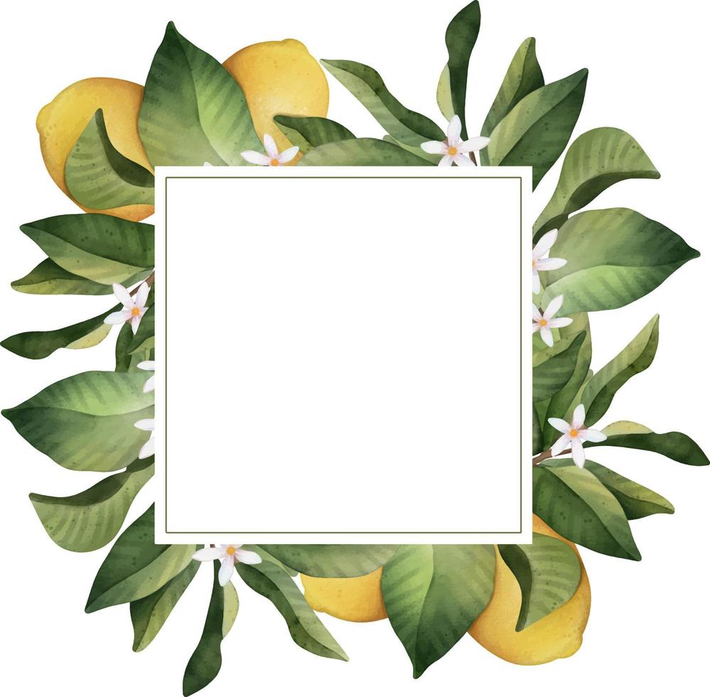 Hand drawn frame of watercolor lemon. Watercolor illustration wreath of lemon and leaves. vector