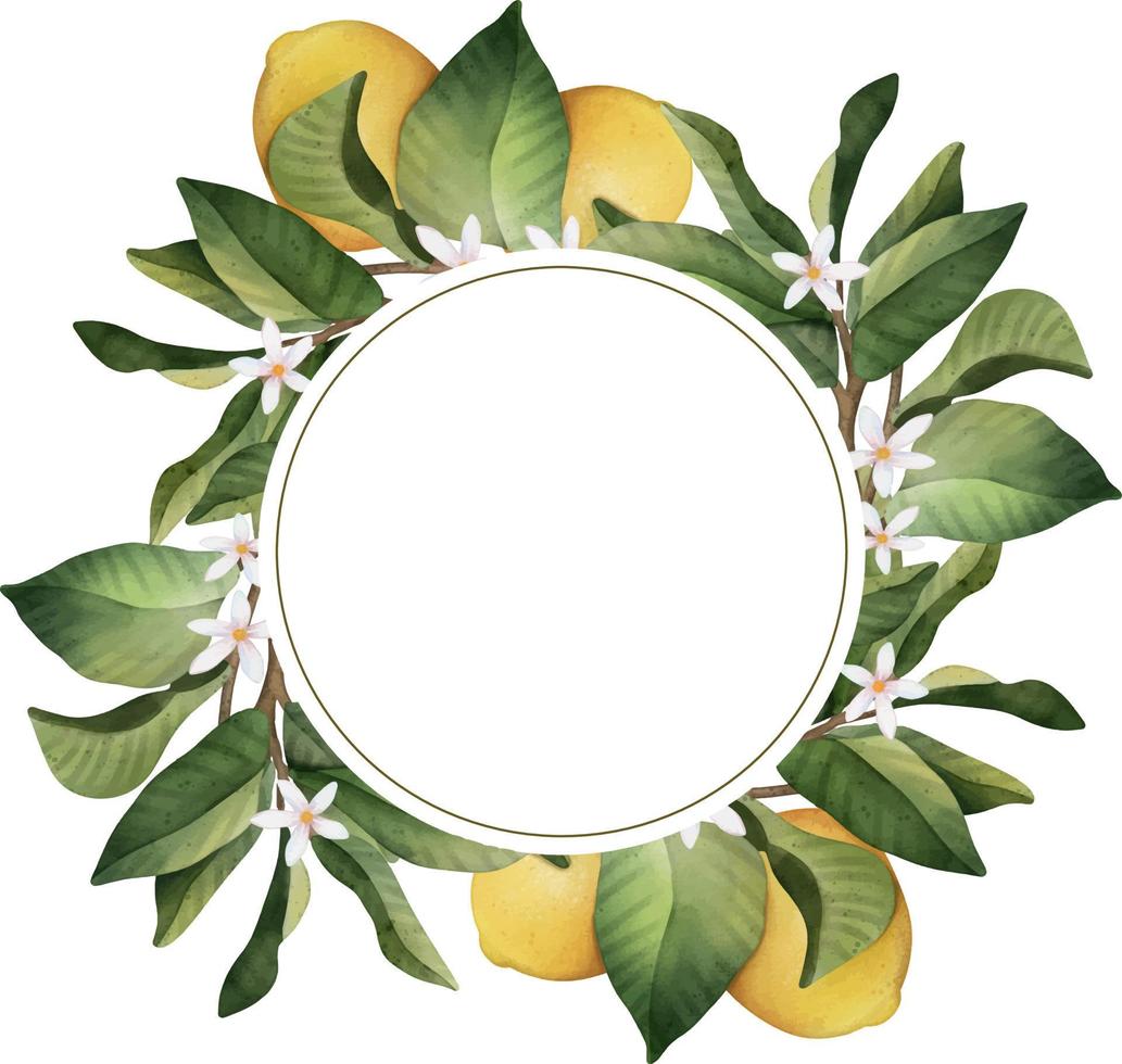 Hand drawn round frame of watercolor lemon. Watercolor illustration wreath of lemon and leaves. vector