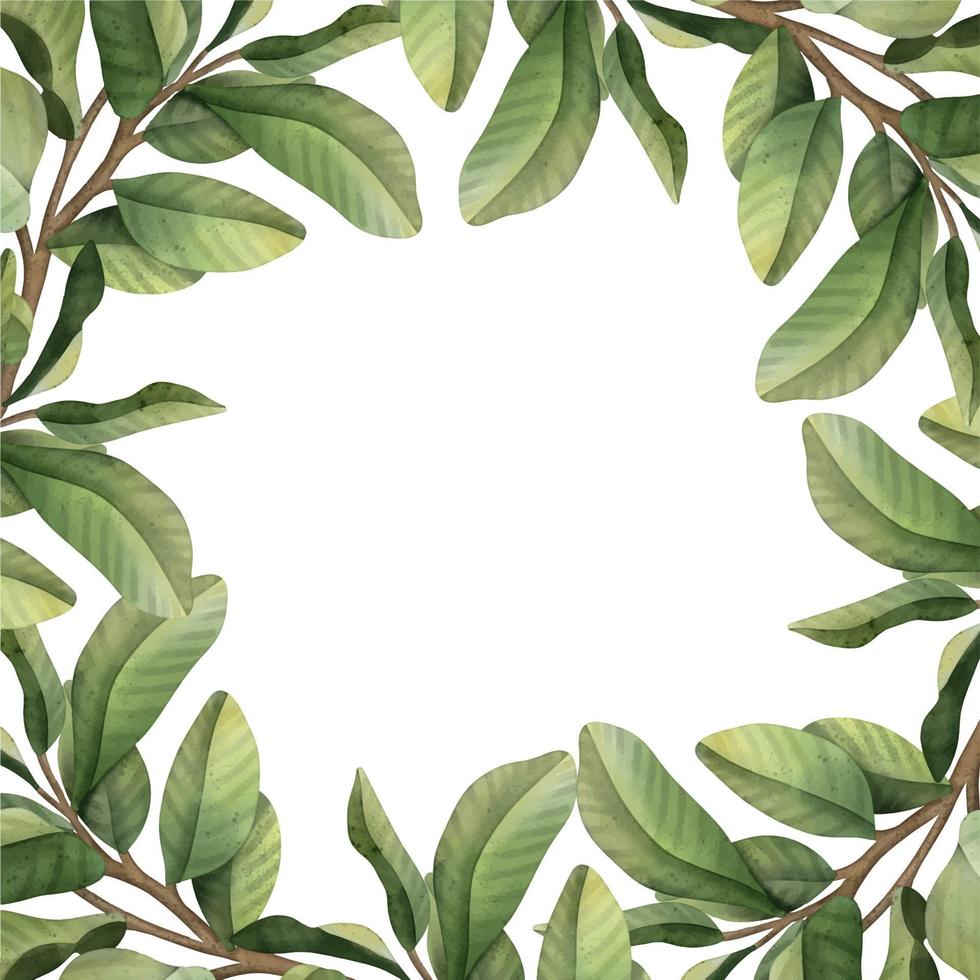 Hand drawn watercolor illustration. Botanical round frame with green branches and leaves. vector