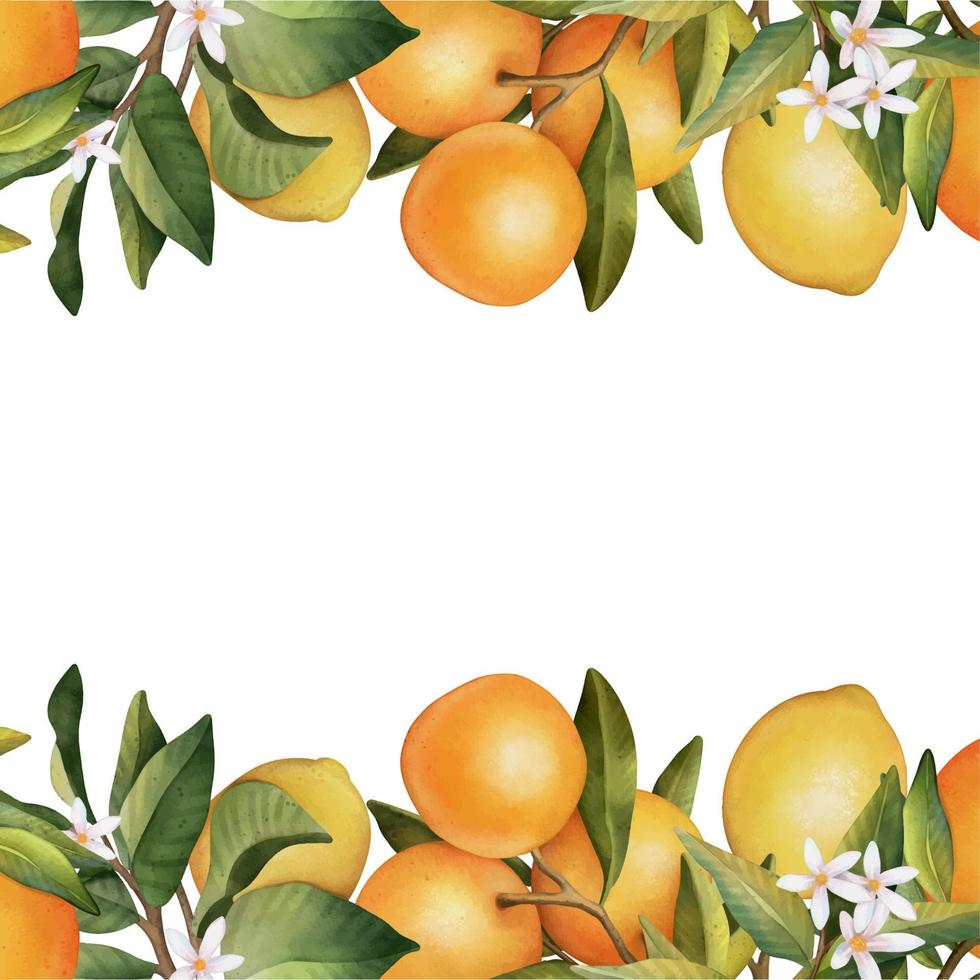 marco dibujado a mano de acuarela naranja y limón. ilustración acuarela corona de limón y hojas. vector