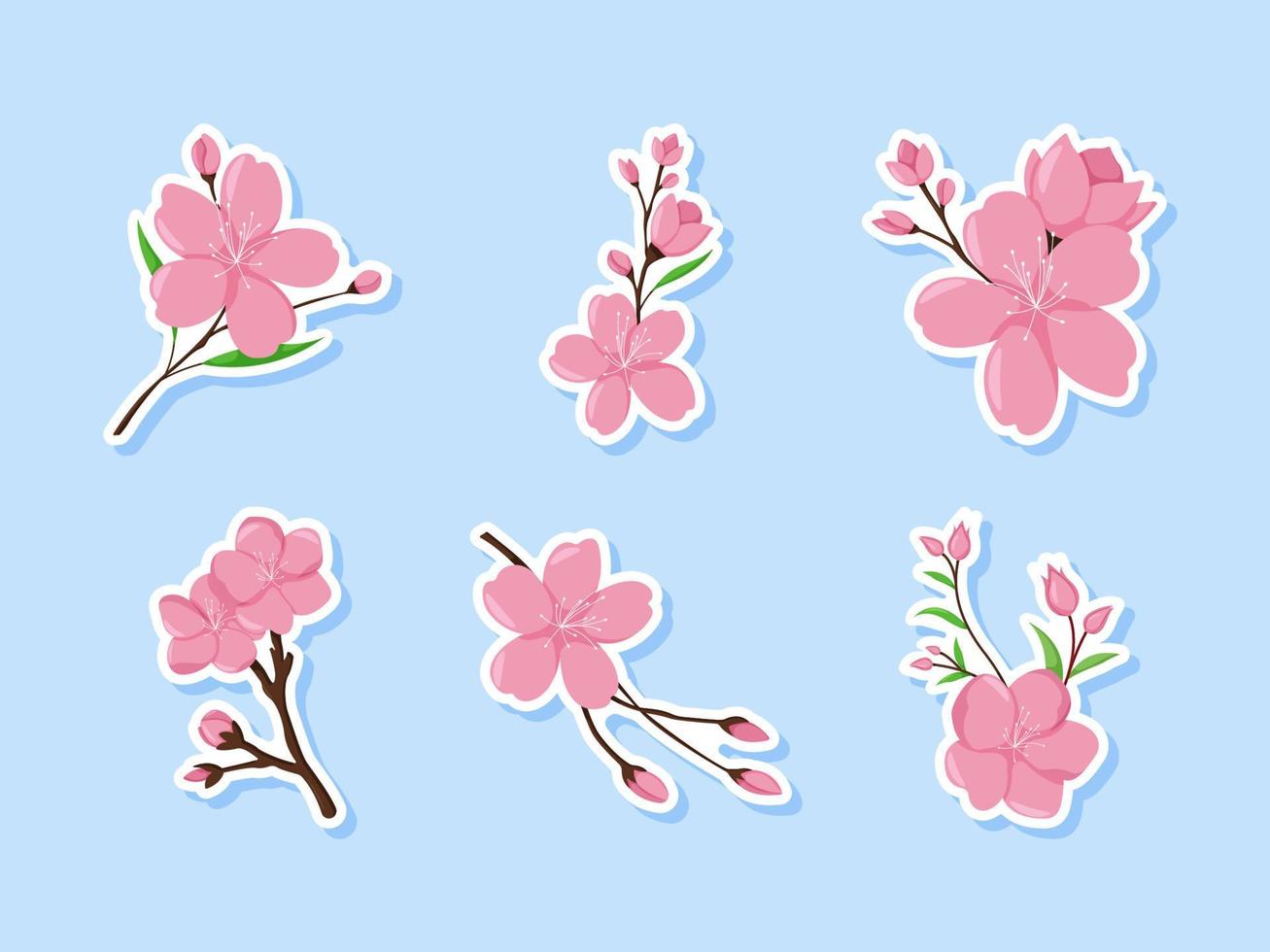 conjunto de pegatinas de flor de cerezo vector