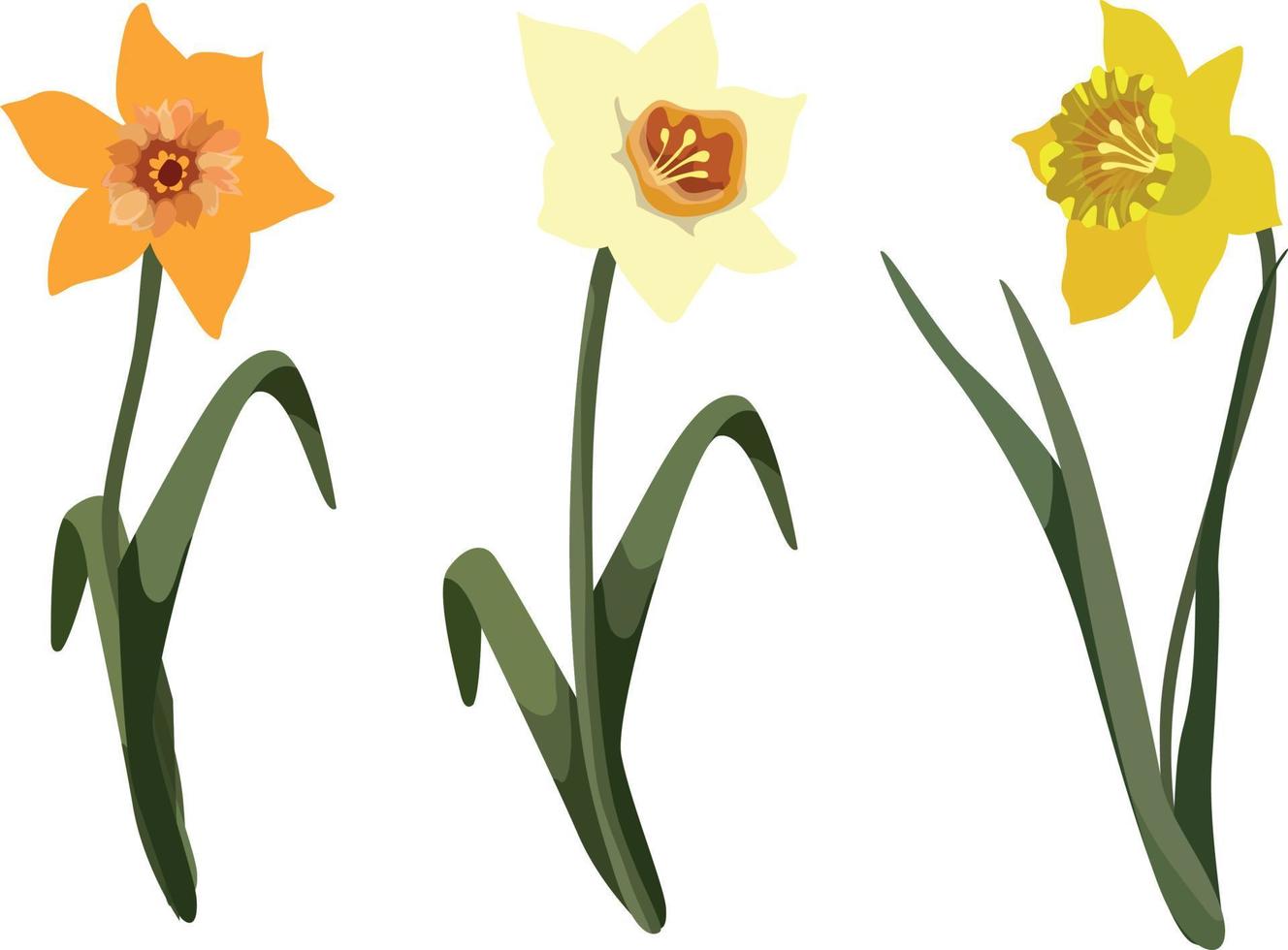 narciso o jonquil planta floreciente de primavera con flor amarilla y conjunto de vectores de tallo sin hojas