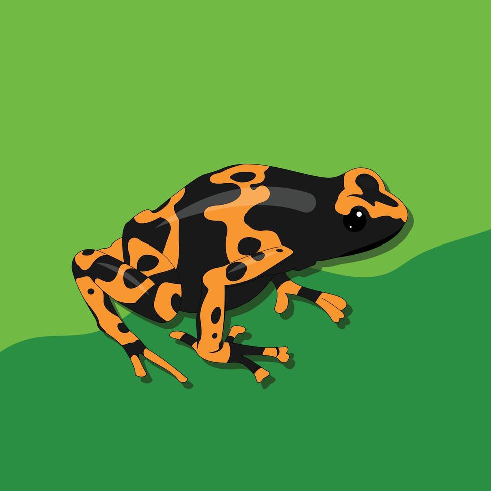 Frog Illustration Free Design vector