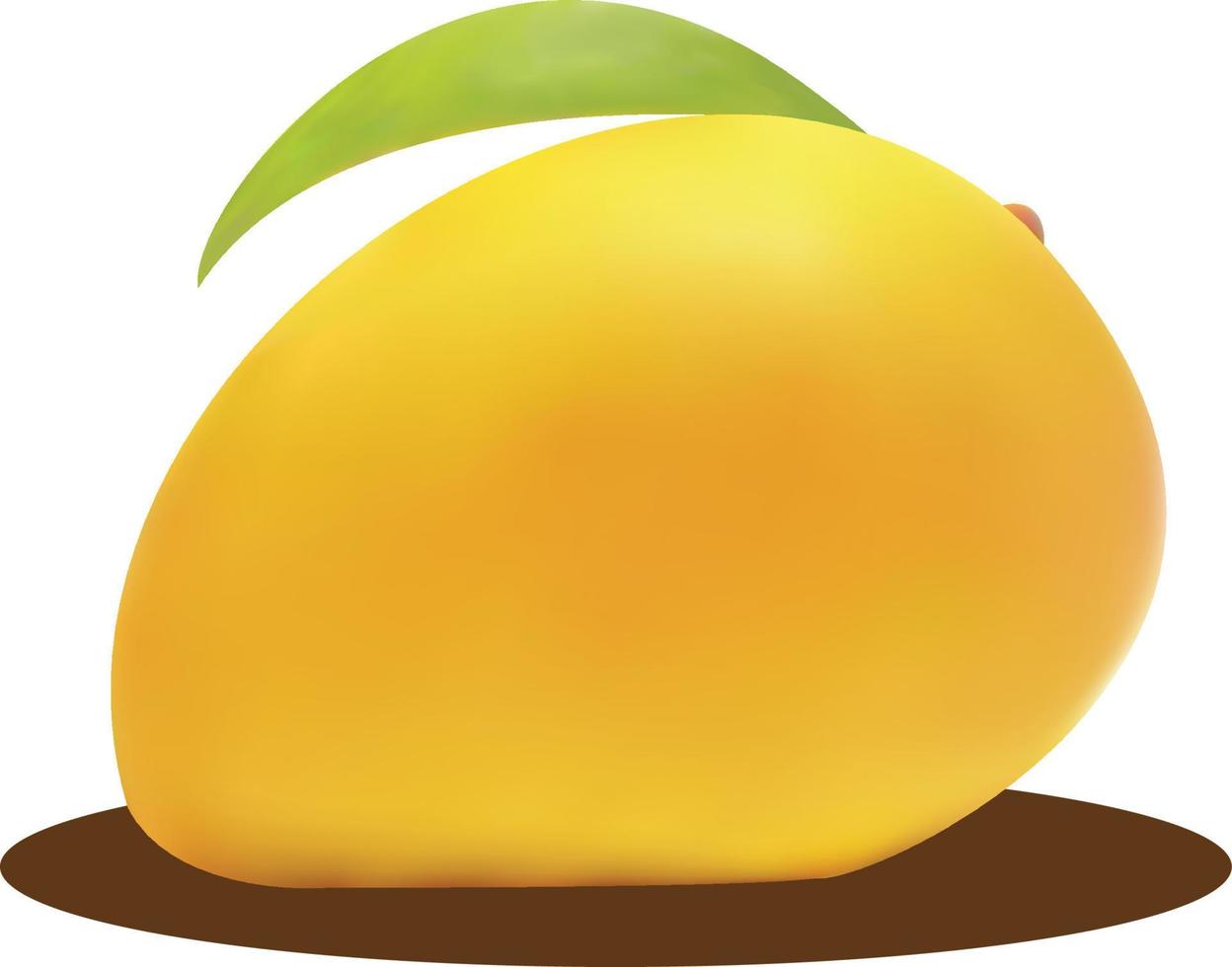 ilustración de mango realista sobre fondo blanco vector