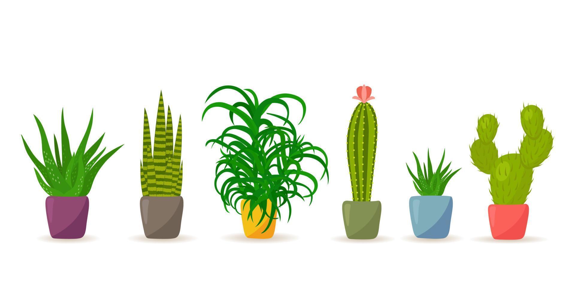 Set of potted cactus and succulents plants in cartoon style. vector