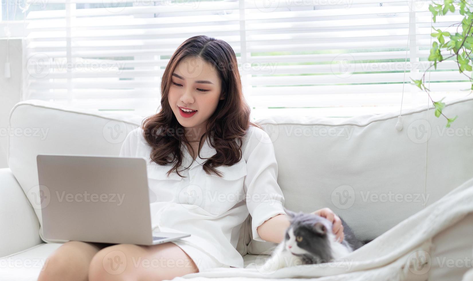 Young Asian businesswoman working and playing with cat photo