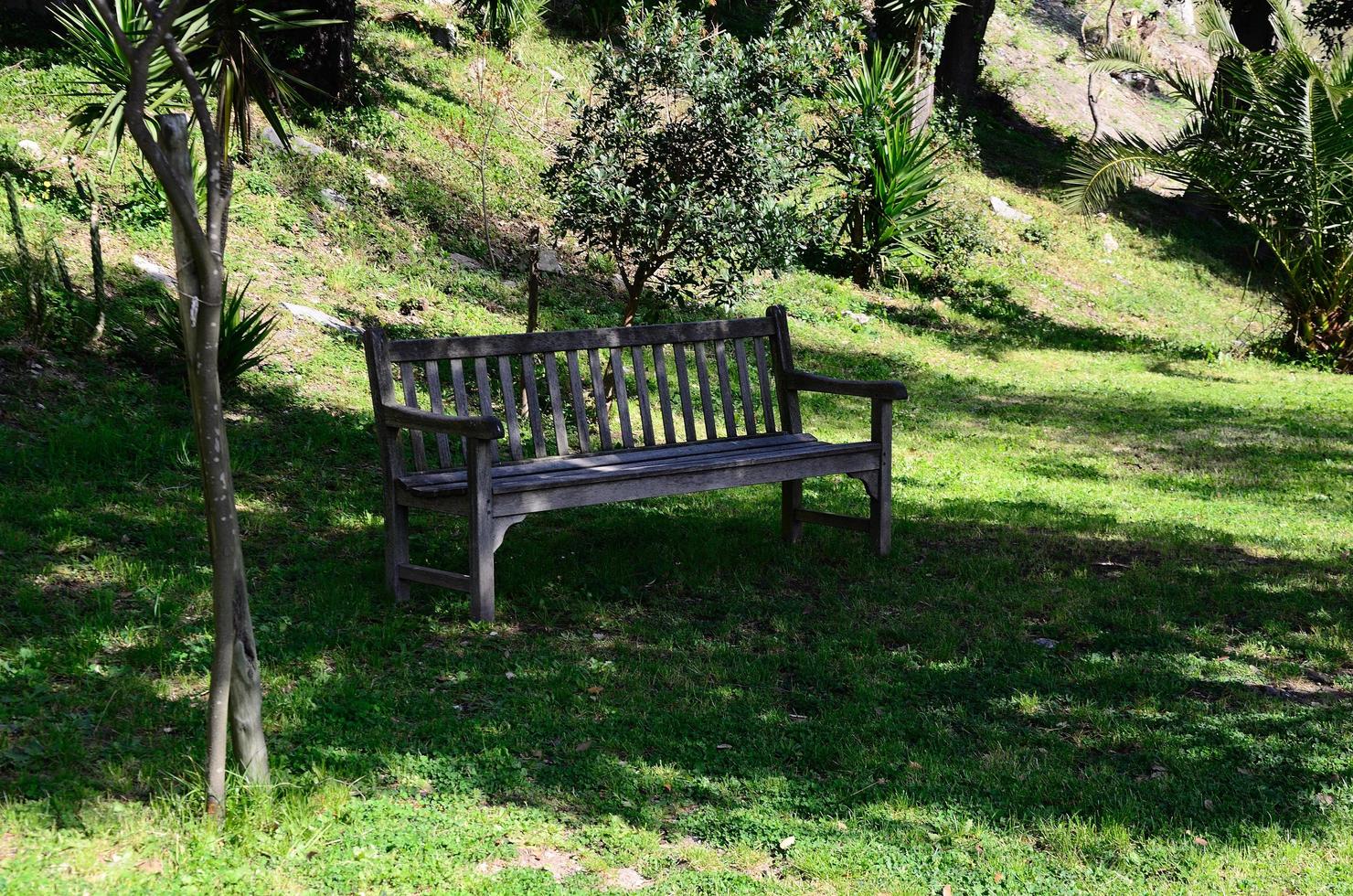 sitting on bench in the garden photo