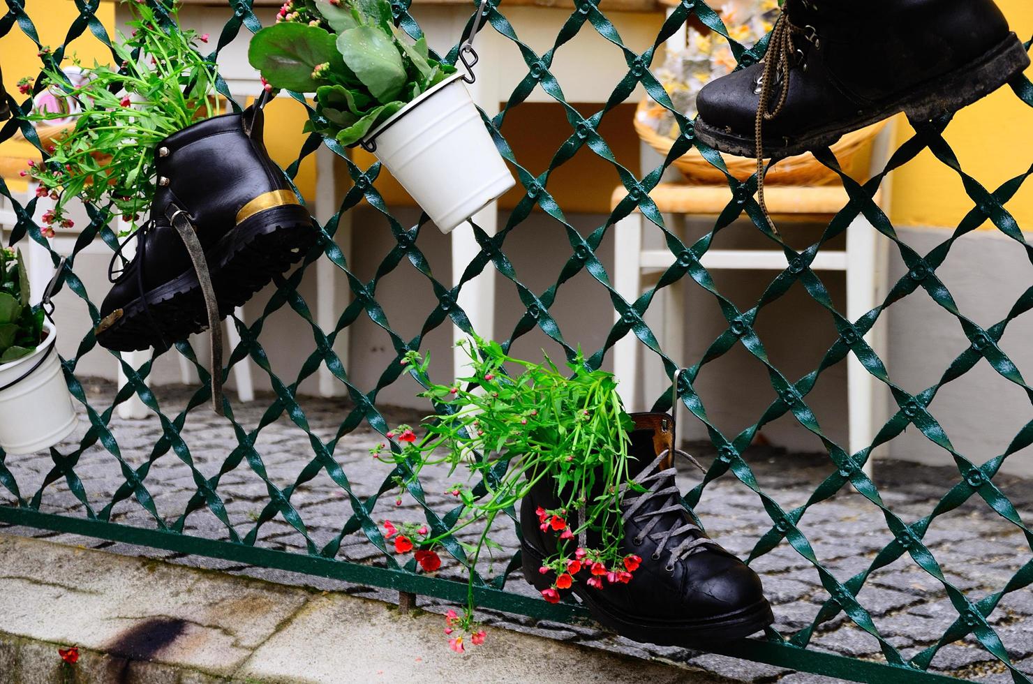 shoes and flowers photo