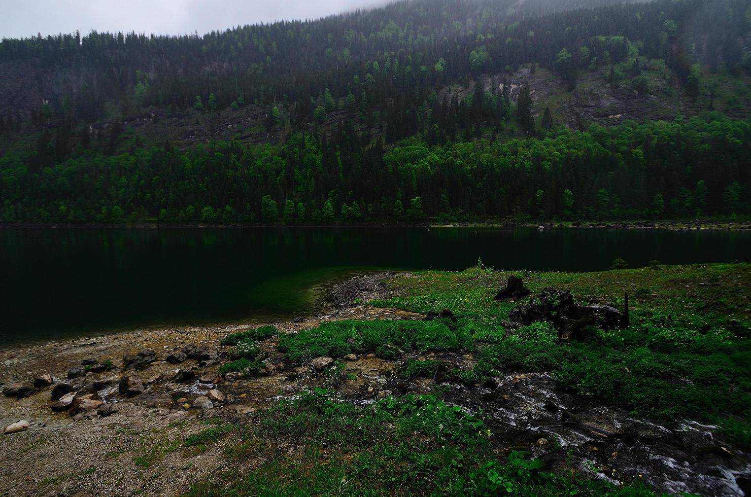 lake banks while hiking photo