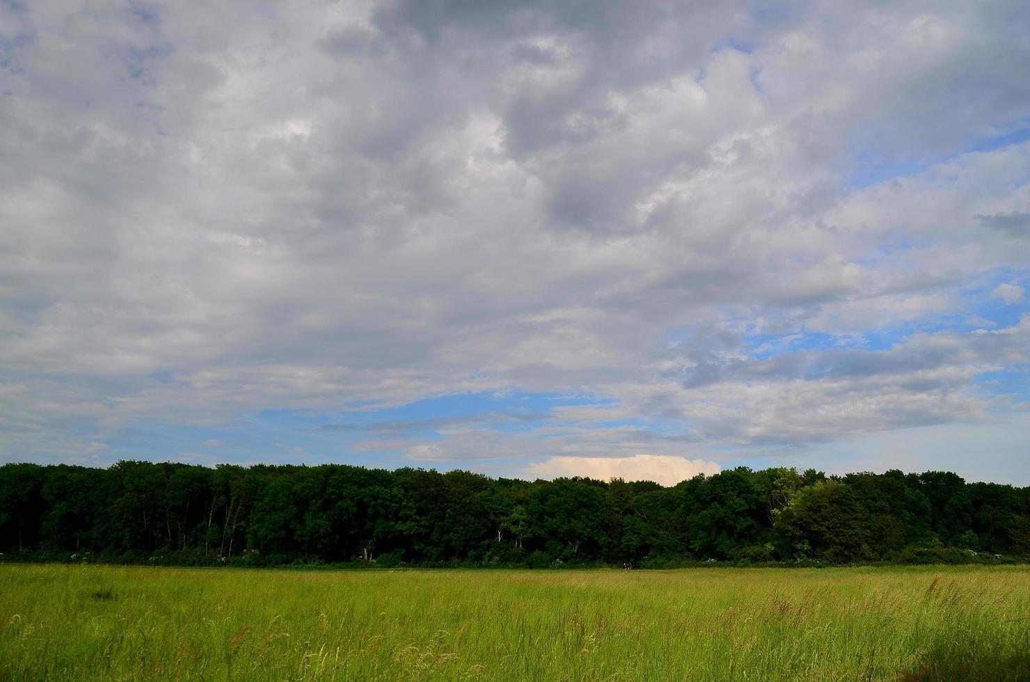 prado verde y bosque con nubes foto