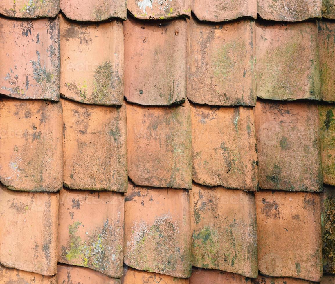 background texture - old vintage shingles on the roof photo