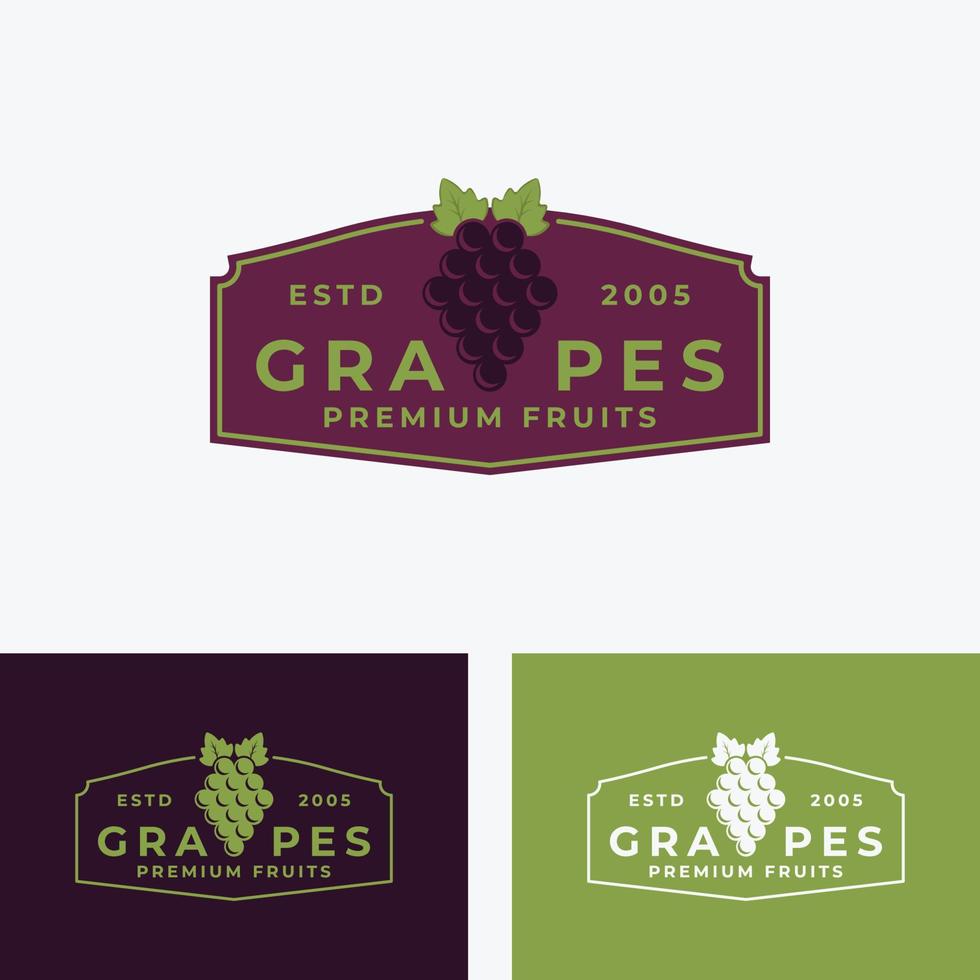 etiqueta de diseño de ilustración vectorial de frutas de uva, diseño de plantilla de logotipo de fruta de uva vector