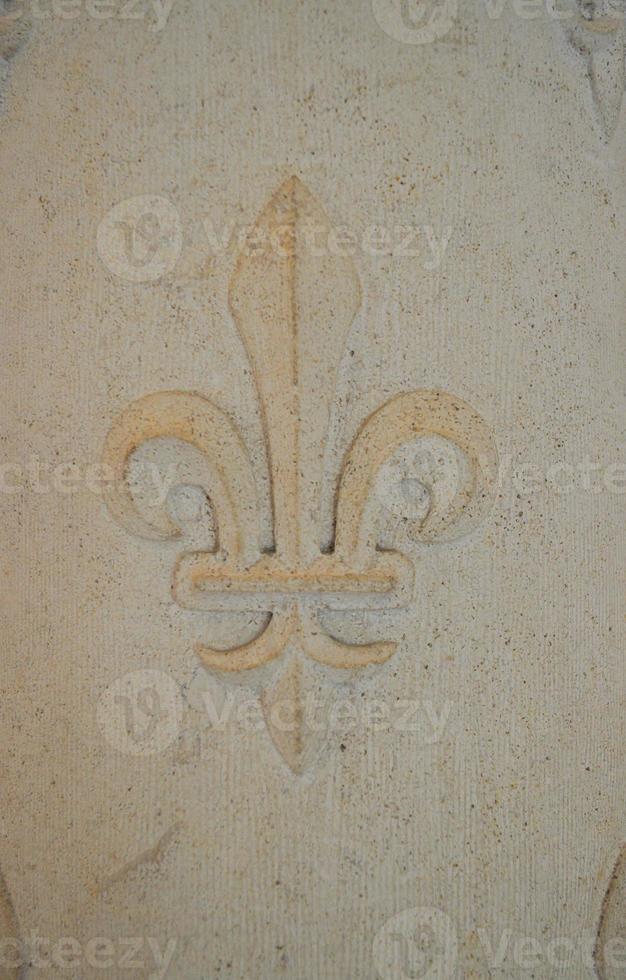 Chateau Amboise castle photo