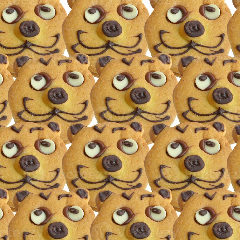 Range of homemade baked cookies with cat face isolated on white photo