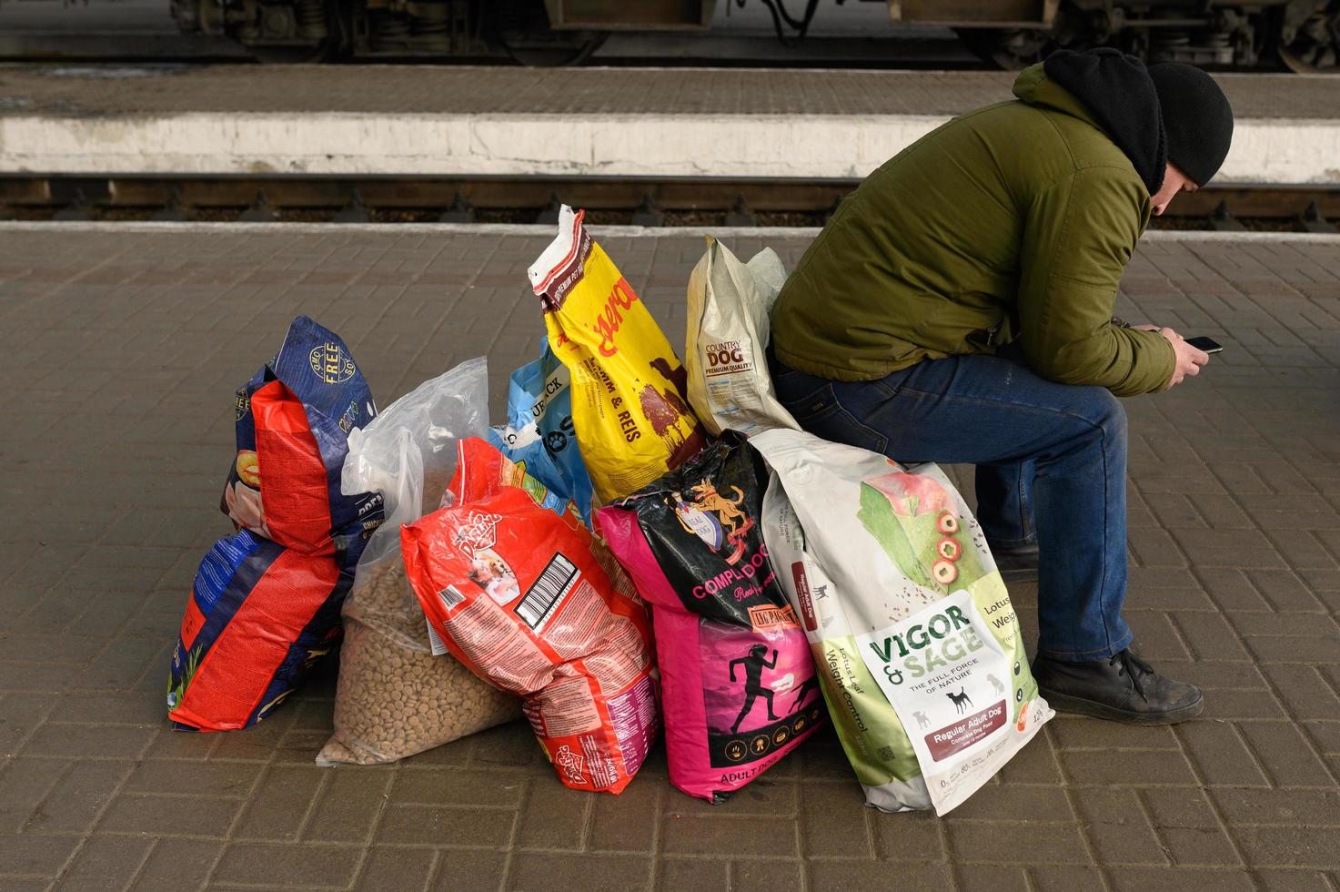 Lviv, Ukraine - March 12, 2022. A volunteer at the railway station is waiting for a train to deliver food for dogs abandoned in the territories surrounded by the occupiers. photo