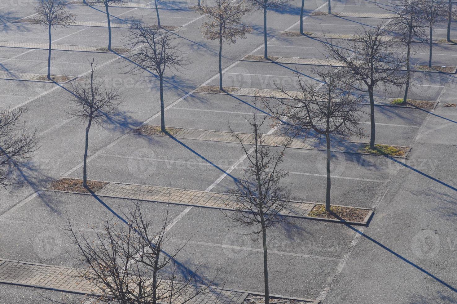 Trees in parking lot photo