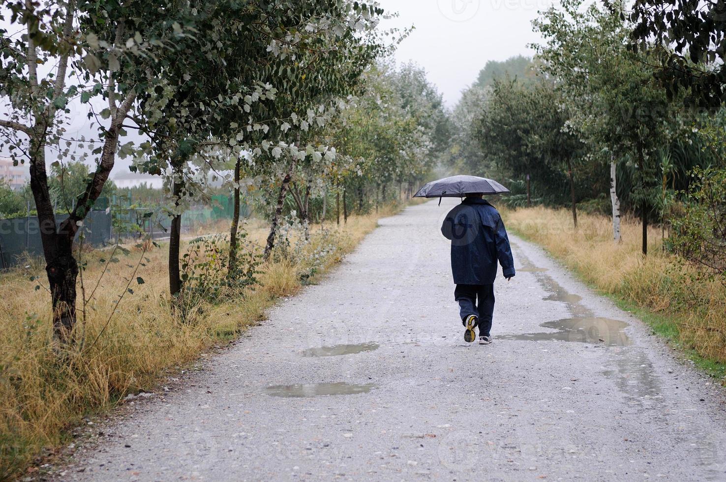 Unknown man walking along a road in the woods, on a rainy day, with an umbrella and a raincoat photo