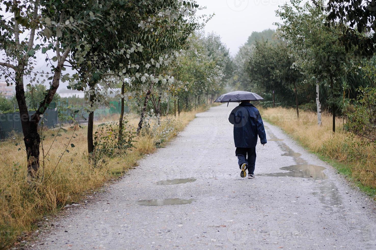 hombre desconocido caminando por un camino en el bosque, en un día lluvioso, con un paraguas y un impermeable foto