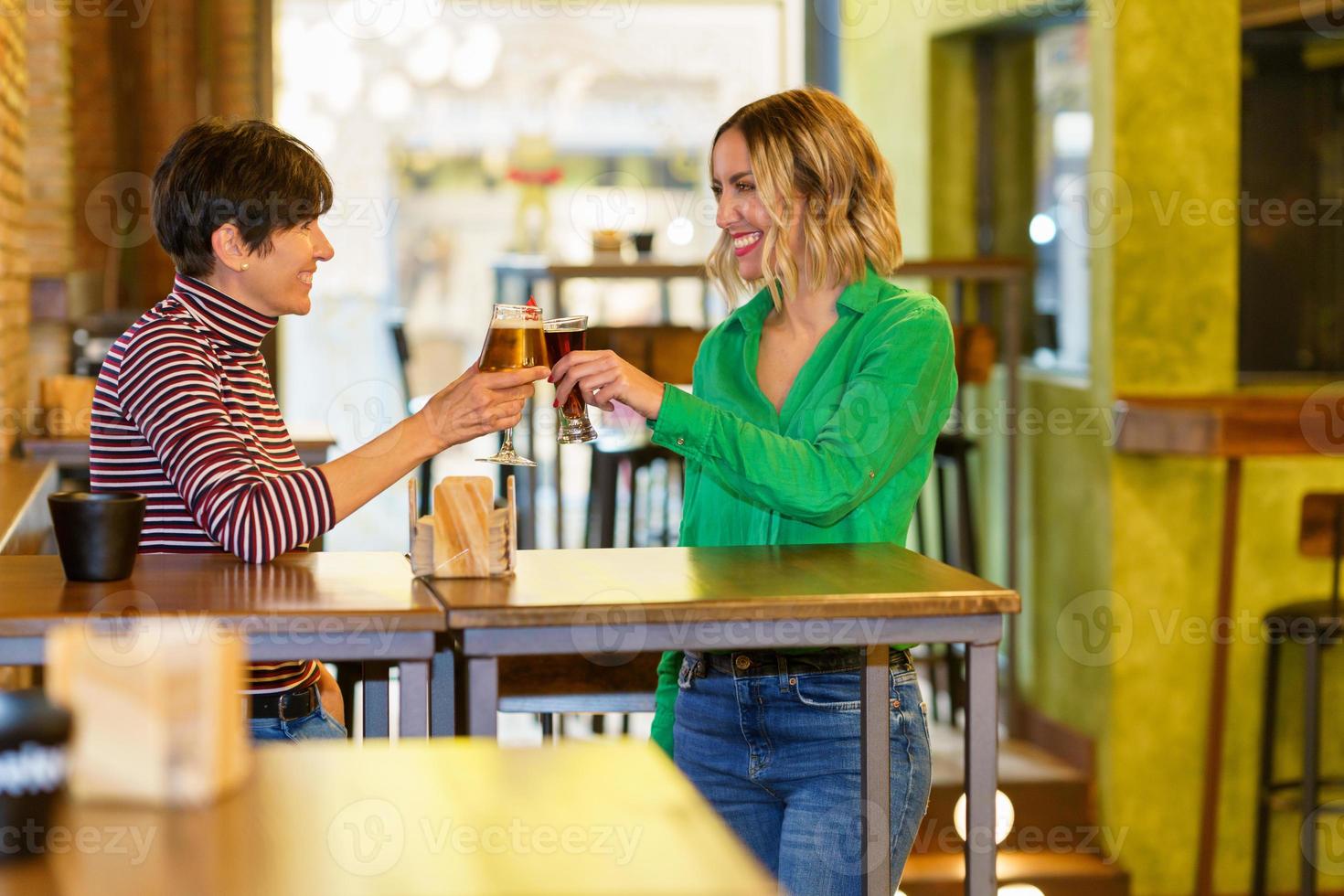 Merry girlfriends proposing toast in a beautiful pub photo