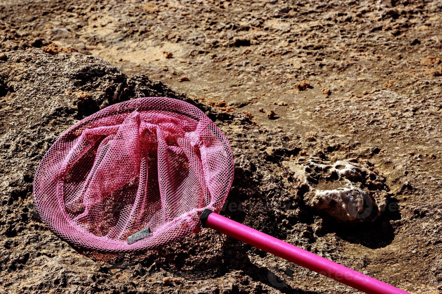 Children fishing net on the beach. Horizontal image. photo