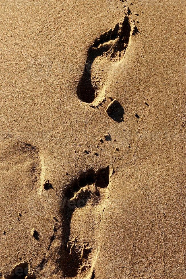 Footprints on sand beach at sunset. Vertical image. photo