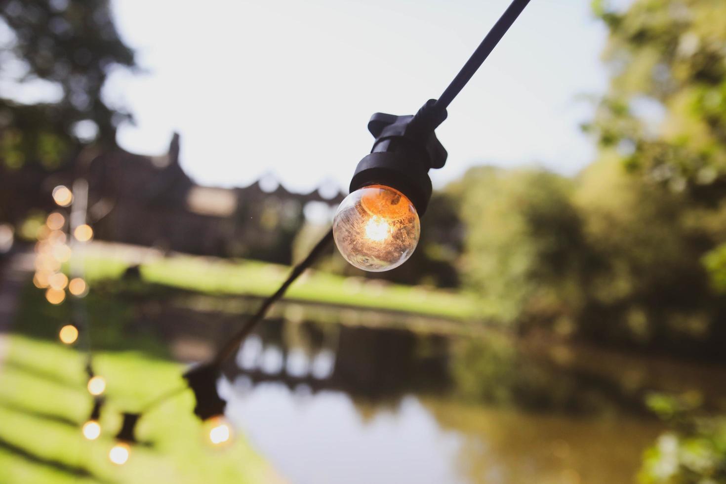 Lights on a string photo