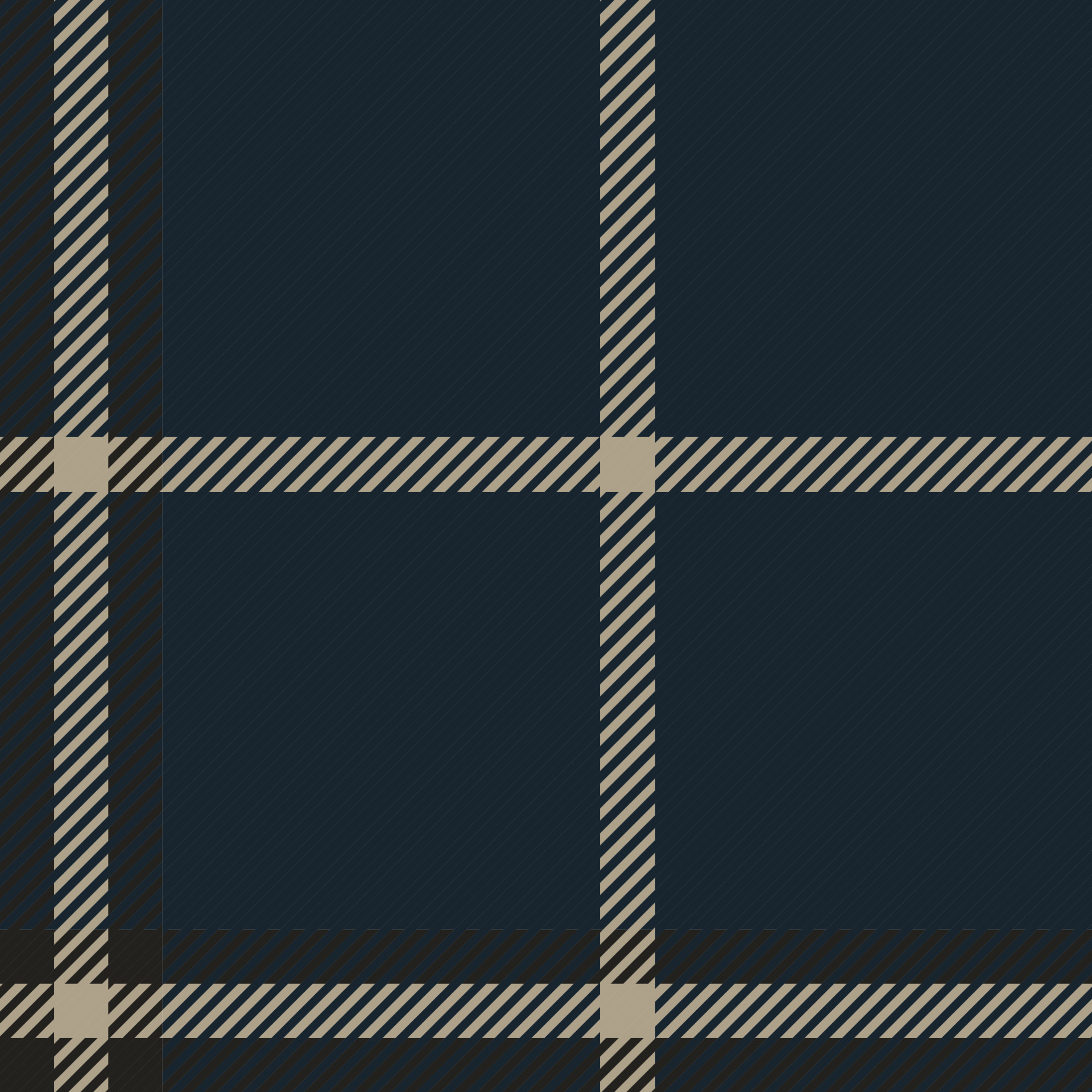 Blue and black tartan plaid seamless pattern Vector Image