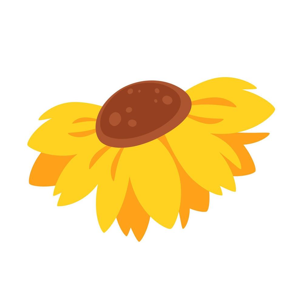 Sunflower, summer flower. vector