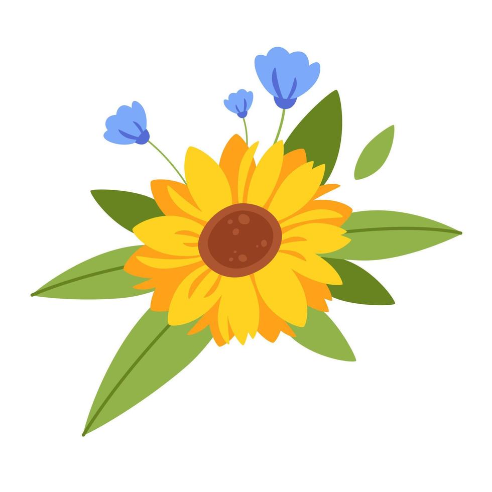 Sunflower, summer flower. vector