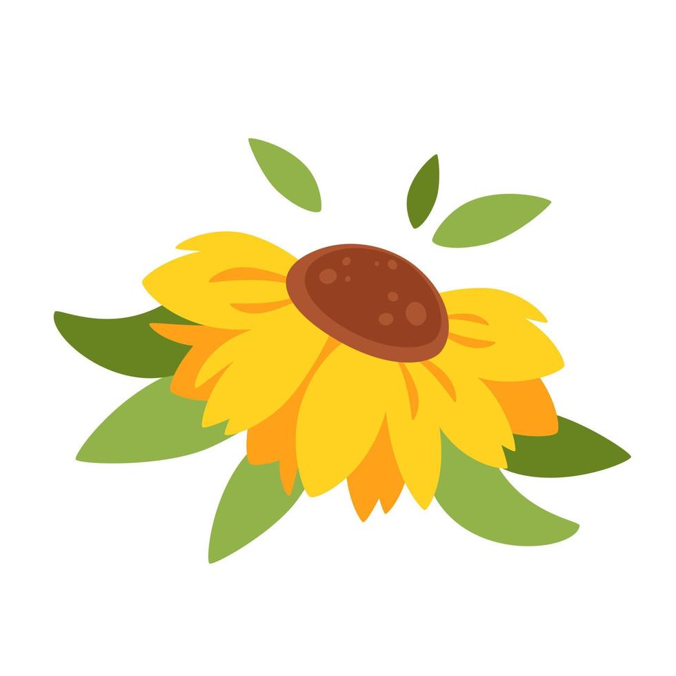 girasol, flor de verano. vector