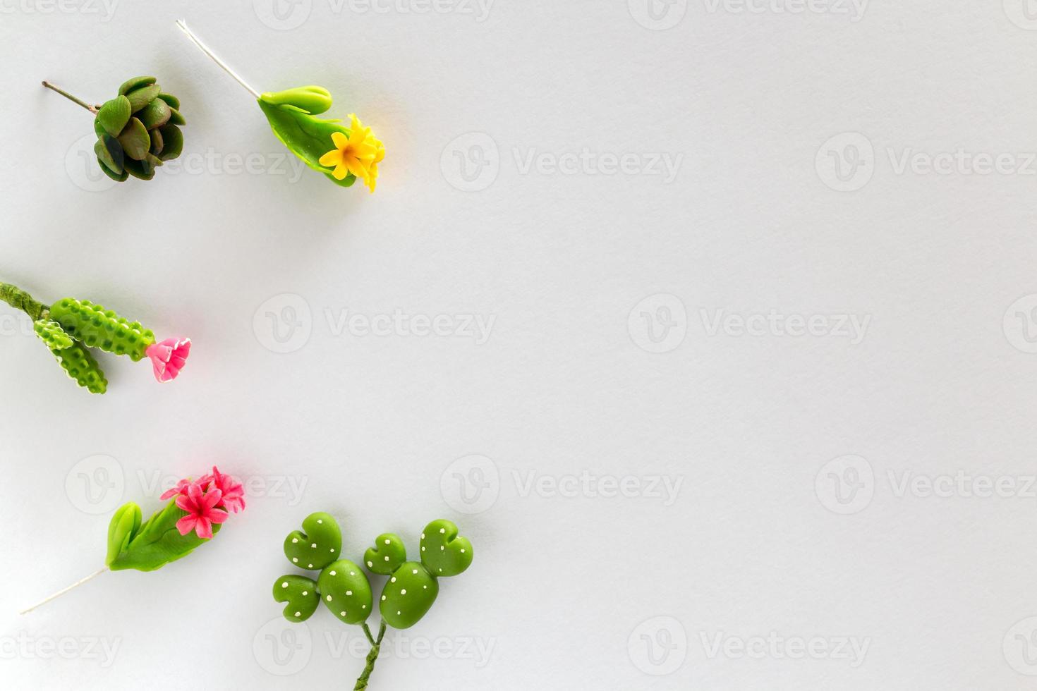 Miniature cactus on white paper background photo