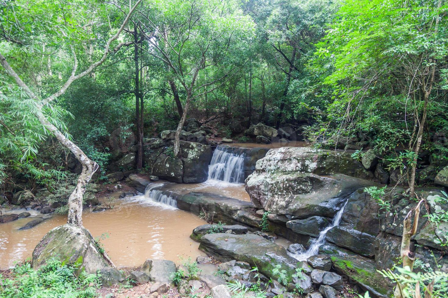 Close up green forest waterfall photo