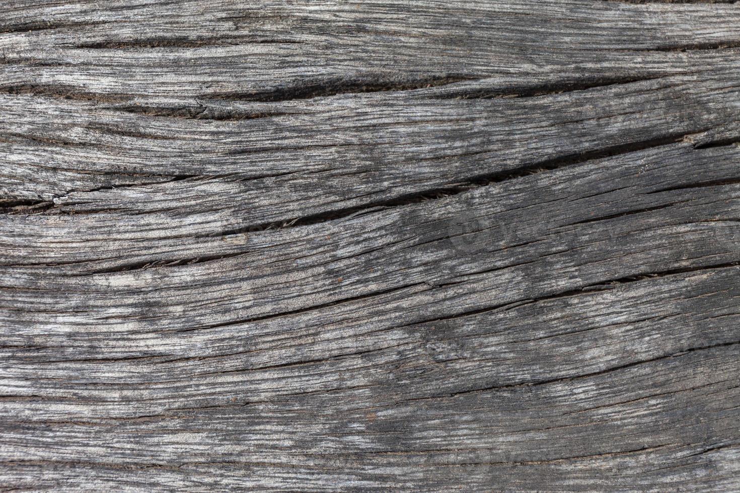 Old wood texture, vintage natural photo