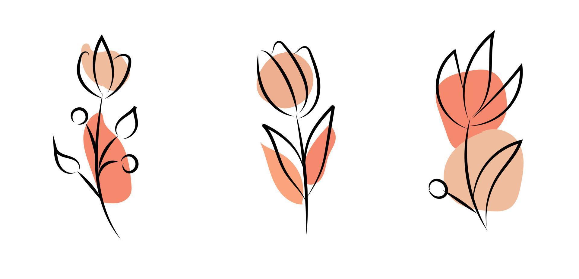 cartel abstracto lineal vectorial. papel pintado de estilo minimalista para primavera y verano con hojas botánicas, flores, formas orgánicas. para afiches, afiches, antecedentes, postales, sitios web y empaques. vector