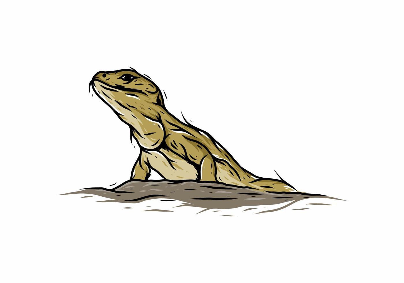 dibujo de arte de línea de lagarto de ilustración marrón vector