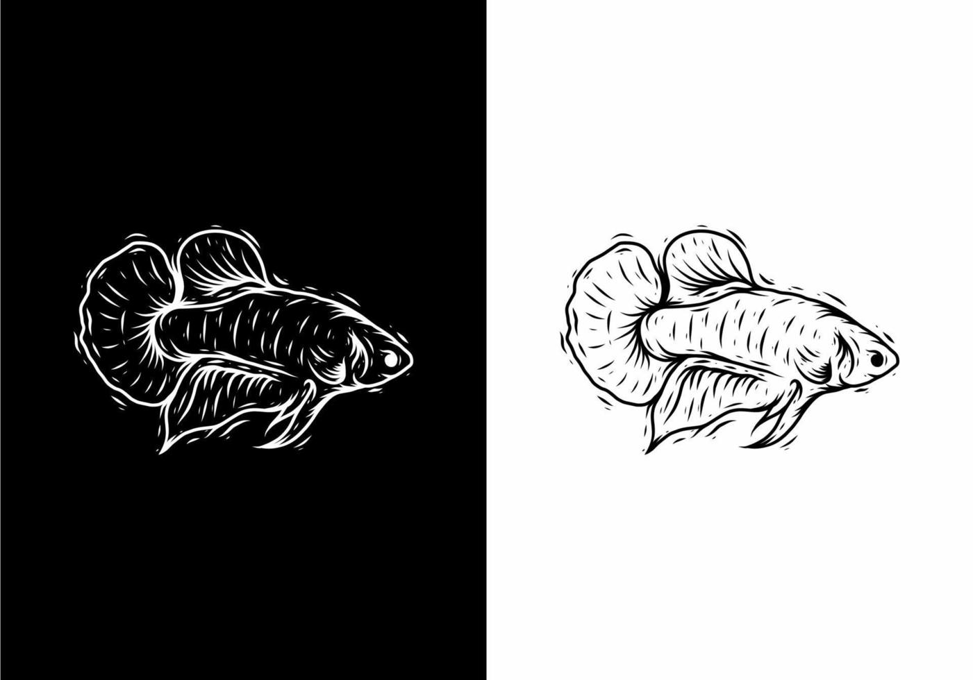 Black and white line art drawing of Betta fish vector
