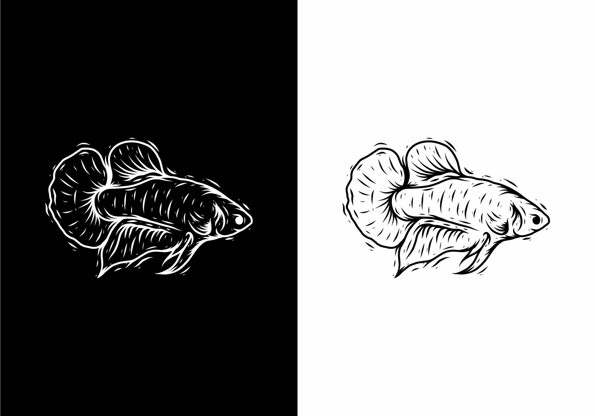 Black and white line art drawing of Betta fish 6523897 Vector Art at  Vecteezy