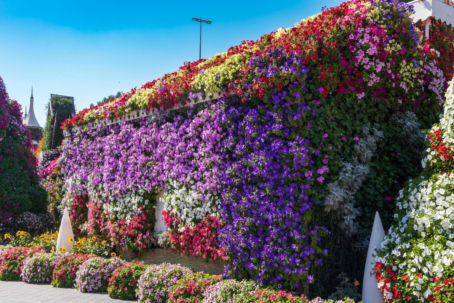 flores en el jardin foto