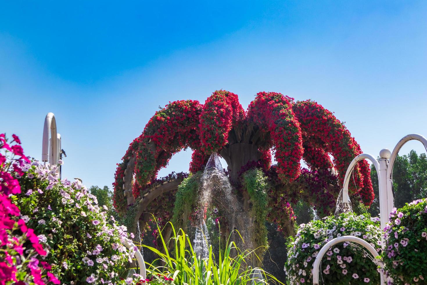 Palm of flowers photo