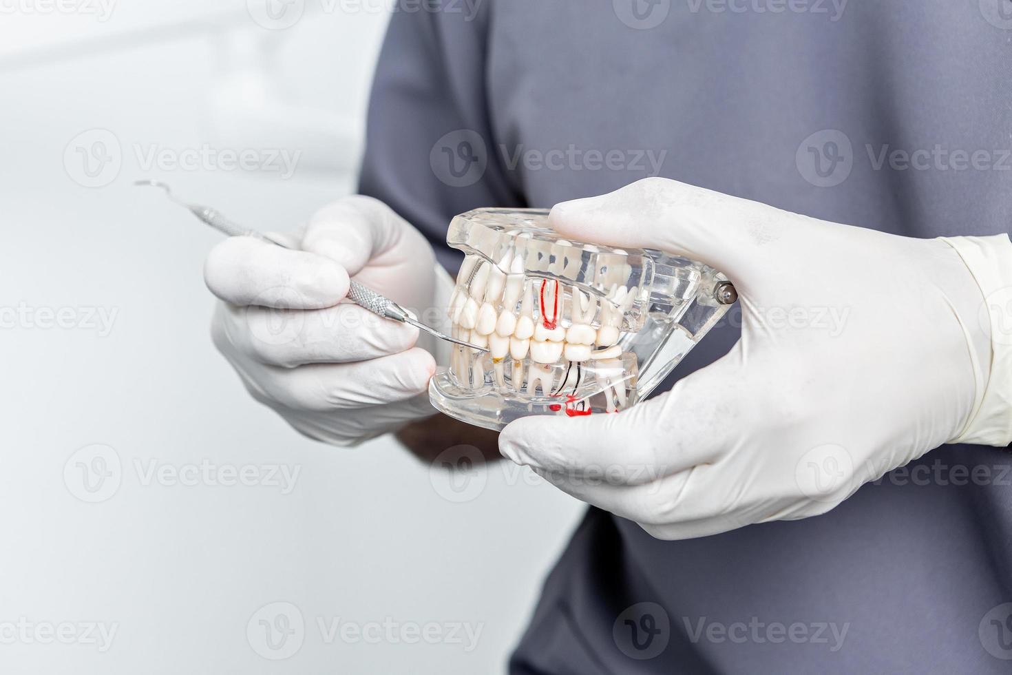 vista de cerca de las manos de un dentista sosteniendo un molde dental foto