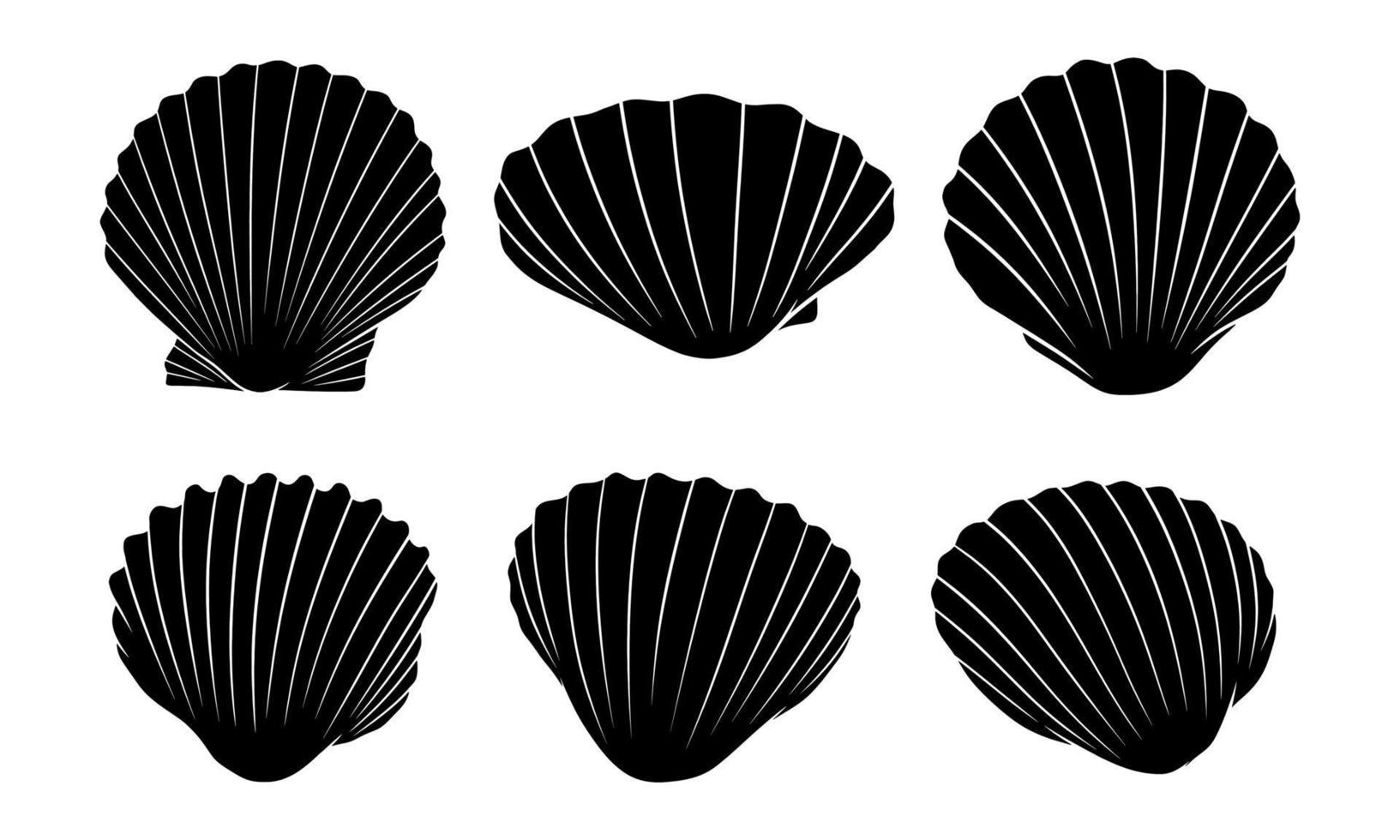 Hand drawn silhouette of sea shell scallop vector