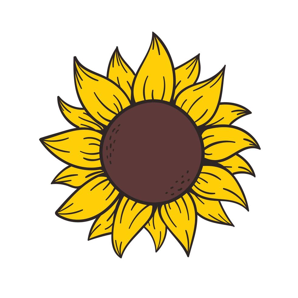 girasoles amarillos florecientes llenos de semillas de girasol en el interior para decorar tarjetas de bienvenida vector