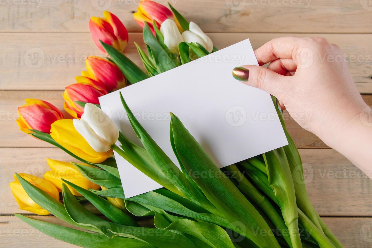 Woman takes greeting card from bouquet of tulips. photo