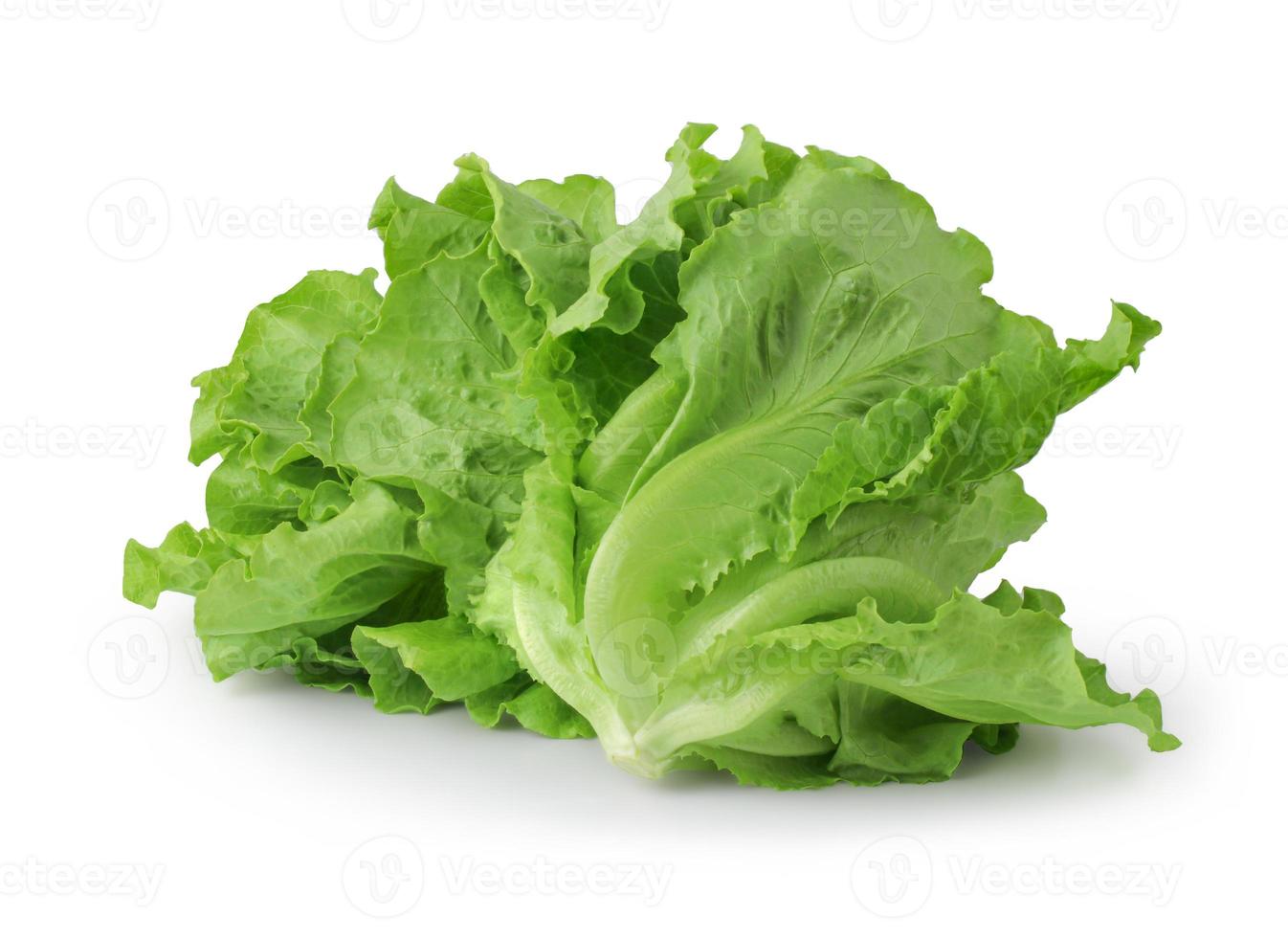 fresh green lettuce salad leaves isolated on white background, clipping path, full depth of field photo