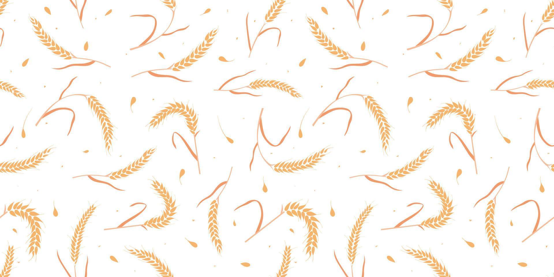 Seamless pattern with whole grain seeds organic, natural ears isolated on white background. vector