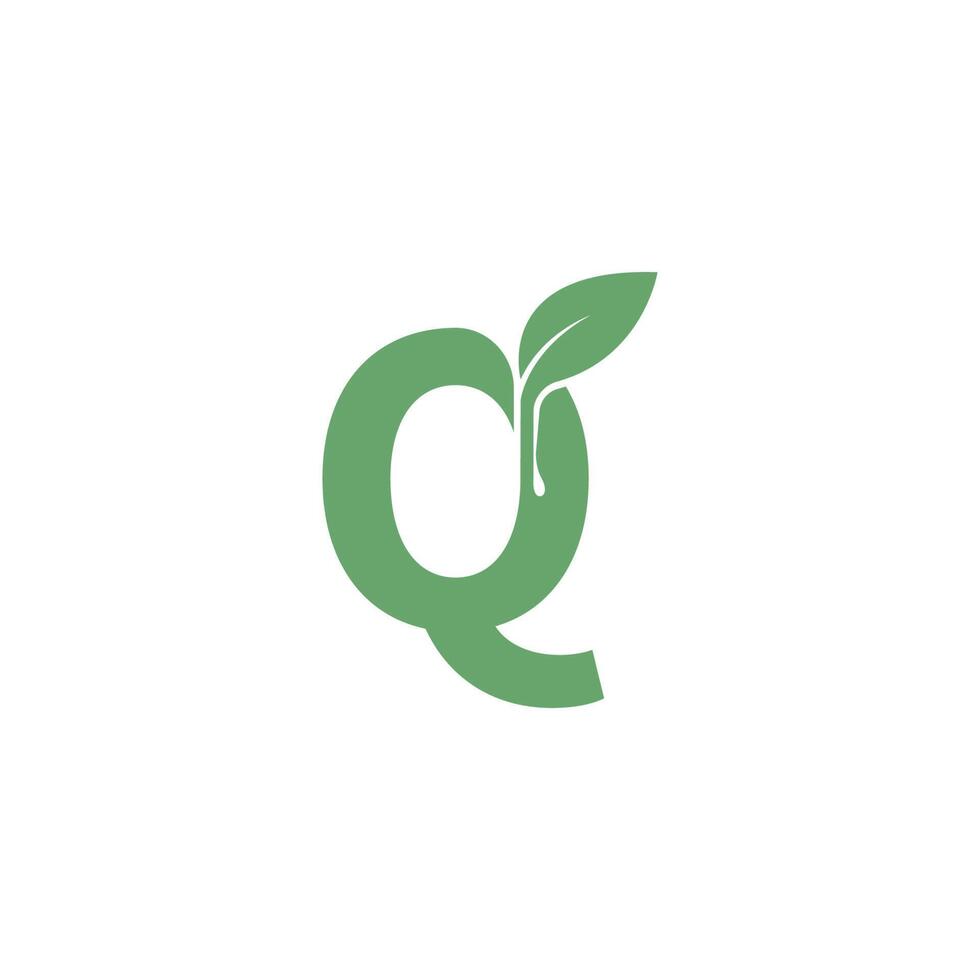 plantilla de concepto de diseño de hoja de icono de letra q vector