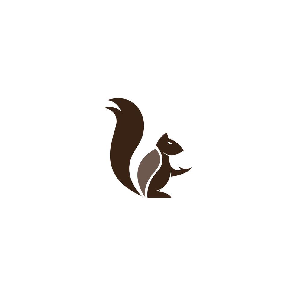 Squirrel logo vector icon design illustration